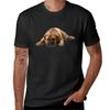 Bullmastiff Dog Cute TShirt Vintage Clothes Funnys Blouse Sports Fans Men Workout Shirt