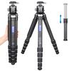 ARTCISE 36mm Diameter Compact Travel Carbon Fiber Tripod 52mm Ball Head Kit with Low Center of Lightweight Carbon Fiber Tripod with Quick Shoe Head