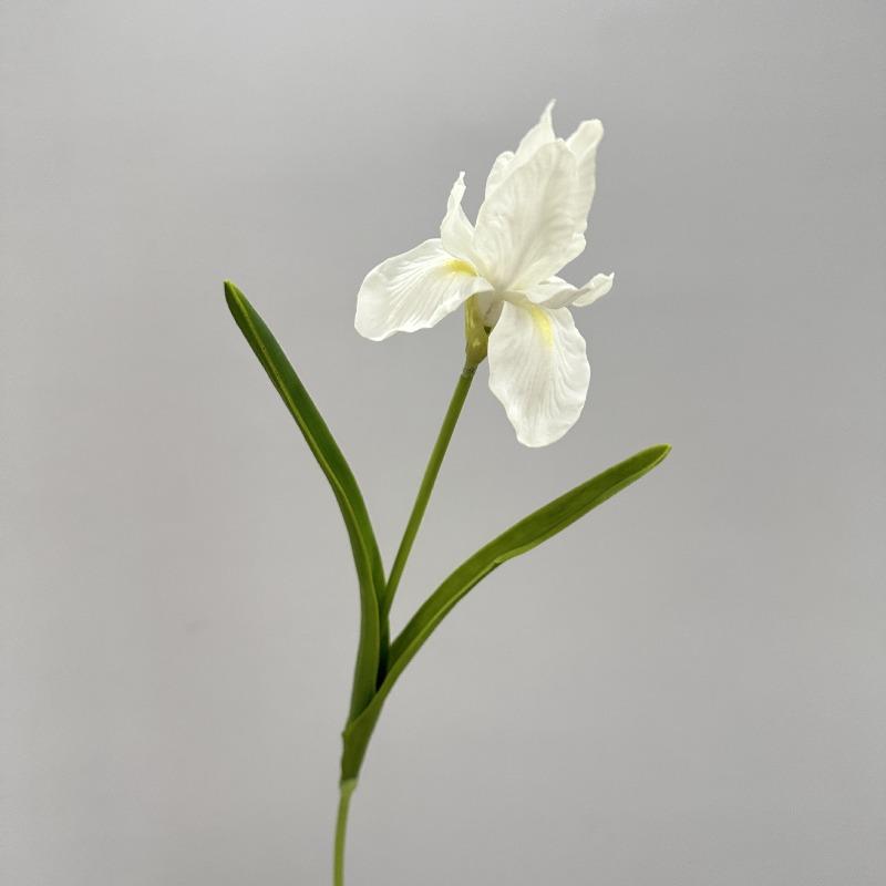 10pcs Wedding Decorative White Alice Irises Artificial Flowers Auditorium Decoration Simulation Iris Branch PU Fake Flower