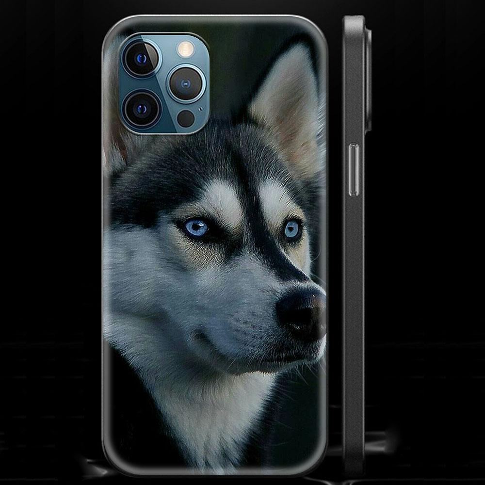 Alaskan Husky Hund Niedlicher Welpe Luxus Handyhülle für iPhone 13 15 14 12 11 Pro MAX XR X SE XS 7 8 Plus Silikon Schwarz Matt Hülle