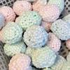 Squishy Stress Relief Ball Fidget Toy Decompression Sensory Soft Slow Rising Non-Toxic Syringe Included Adults Birthday Gift