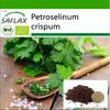 عضوي - بقدونس عادي الأوراق - 600 بذرة - مع ركيزة للزراعة من أجل نمو أفضل - Petroselinum crispum