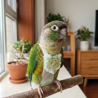 Safety Breathable Mesh Pet Parrot Diaper Adjustable Snap-Closure Parrot Nappy Cartoon Pattern Bird Vest Birds Supplies