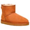 Ugg Boots Classic Mini