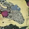 LP Record AKIRA MIYOSHI - Joseigasshou Sakuhinshu EFO2095 FONTEC Japan Japanese Others Used