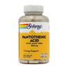 Pantothenic Acid 500 Mg With Aloe Vera, 250 VegCaps