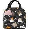 Lustige Katze Isolierte Lunchtaschen Kühltasche Organizer Taschen Wiederverwendbare Lunchbox für Frauen Mädchen Outdoor Arbeit Picknick Schule
