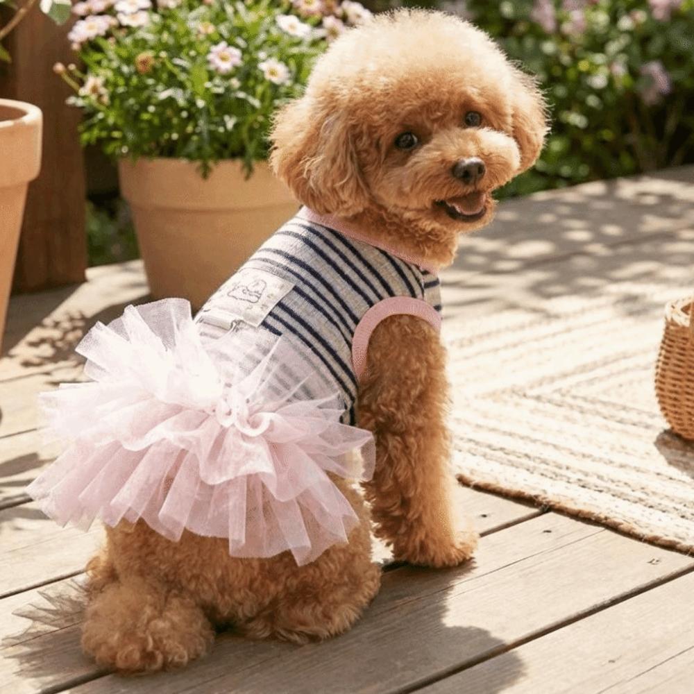 Fashion Thin Breathable Puppy Princess Dress Sweet Style Comfortable Fit Dog Cooling Vest Lace Skirt Pet Lace Skirt Small Dogs