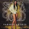 CD VARIOUS - Soca Gold 1999 VPCD1560 VP 1999 US Latin