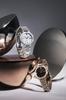 Casio Scene Solar Uhr Silber SHS-4529D-7AJF Damen