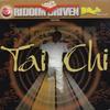 CD VARIOUS - Riddim Driven: Tai Chi (B-Rich Prod VPCD2209 VP 2003 US Reggae, Ska & Dub