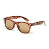 Sunglasses UV Protection Lens FREE SUNGLASSES WLTN BROWN [New Era] Tortoiseshell/Brown