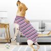 Breathable Dog Surgery Recovery Suit Thickened Bite Protective Outfit  For Small Medium Large Dog