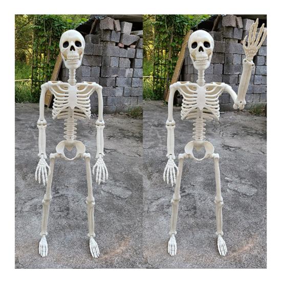 Esqueleto de Halloween de cuerpo completo con articulaciones articuladas, esqueleto humano realista, decoraciones para fiestas, casas embrujadas, truco o trato, juguete festivo