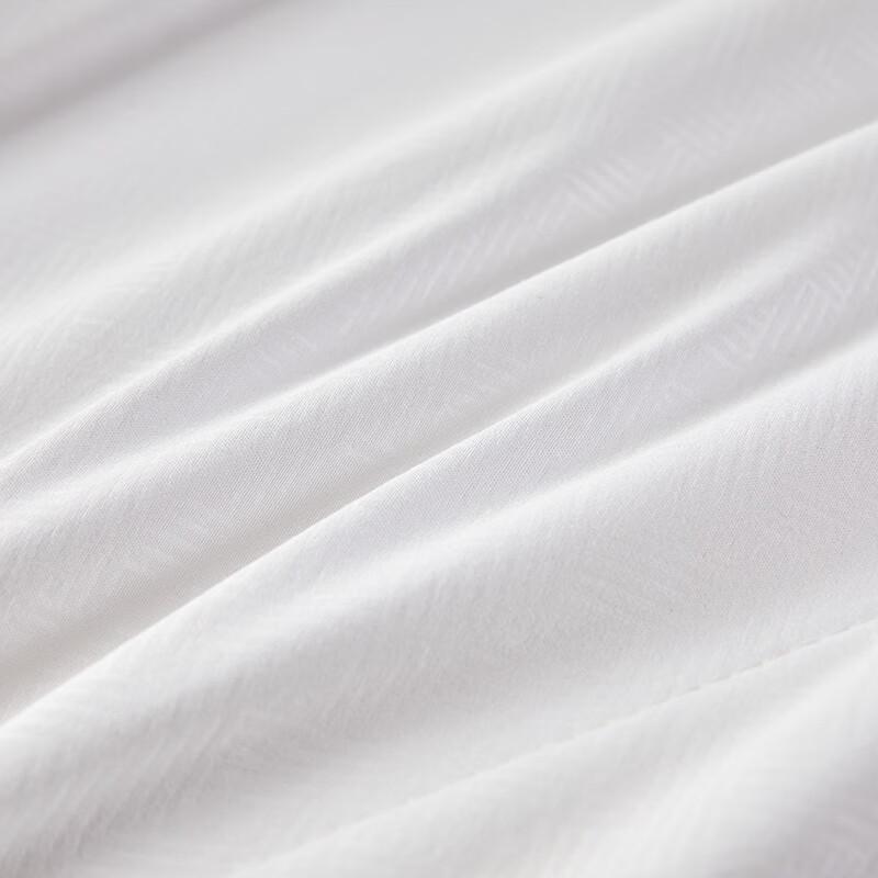 Hengyuanxiang Skin-Friendly Tussah Silk Quilt