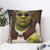 Shreks Pun Pillowcases Novelty Pillow Case For Couch Sofa Bedroom Print Pillow Cover
