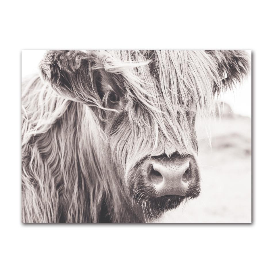 Cattle Print On Canvas Wall Art Pictures Animal Painting for Living Room Home Decor Modern Abstract Scottish Highlander