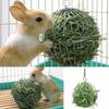 Sphere Feed Dispenser Hanging Ball Toy Guinea Pig Hamster Rat Rabbit Pet Supply