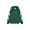 adidas Originals Adilenium Oversized Hoodie 'Collegiate Green' Men's IW3646