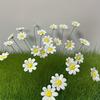 6/8/10pcs Ceramic Daisy Flowers Handcrafted Eternal Blooms DIY Ornament Home Decoration / Outdoor Photography