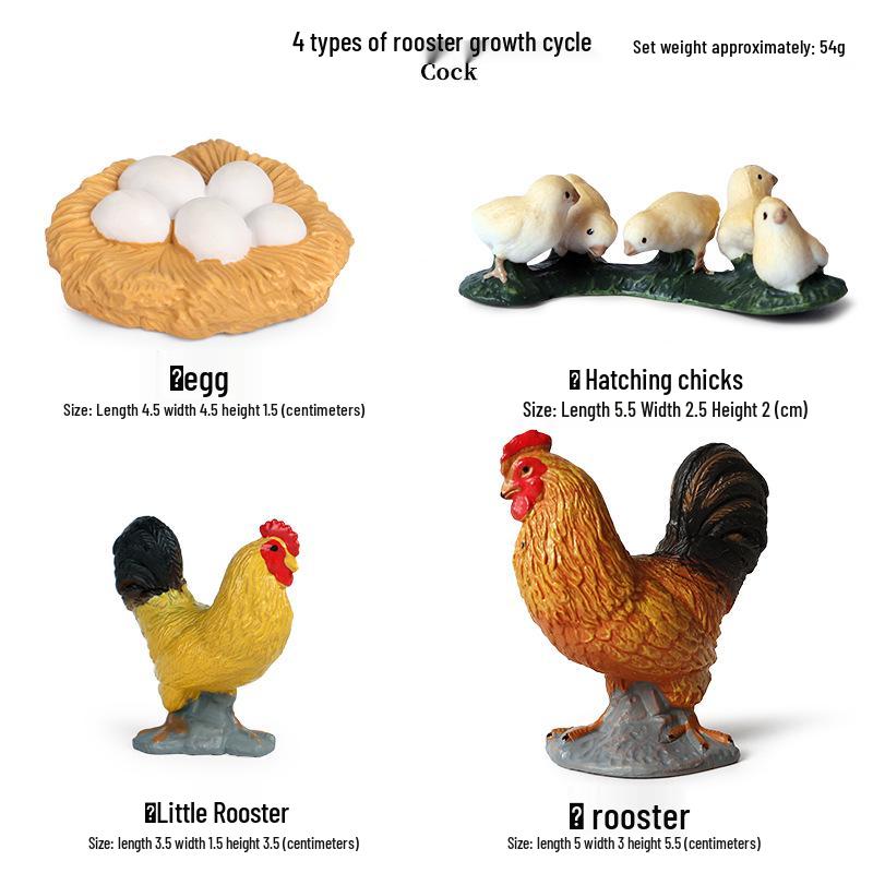 Pediatric Cognitive Simulation: Mini Salmon Growth Cycle Toy