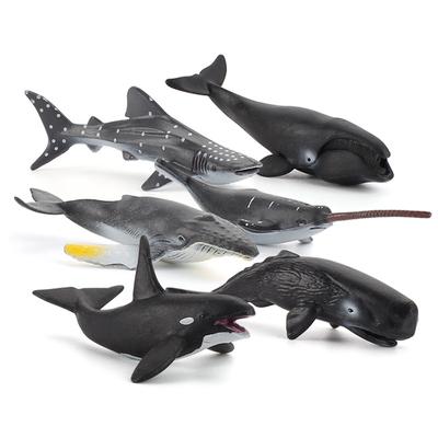 Simulation 6-Piece Set Of Marine Life Bowhead Whale Humpback Whale Killer Whale Mini Whale Toy Model Direct Supply