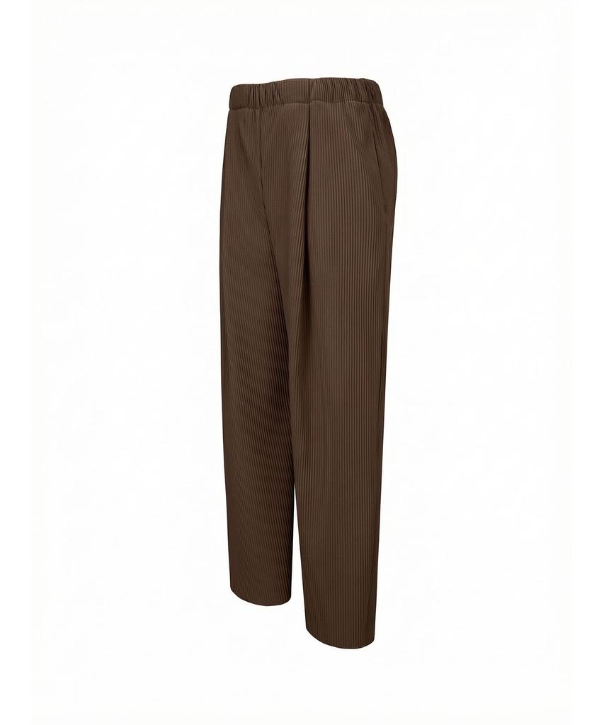 Akebteu Pt11X Pleated Wide Pintuck Pants [Brown]