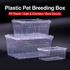 Plastic Lizards Keeper Tanks Observation Panel Breathable Design Stackable Enclosure