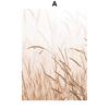 Beige Palm Leaf Torrid Flower Plant Reed Posters And Prints Canvas Painting Nordic Wall Art Pictures Living Room Home Decor