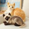 Adorable Poupée Peluche Chat Chaton Siamois Rempli Animal Doux Câlin Dessin Animé Jouet Peluche conçu pour Cadeau Simulation Jouet Animal en Peluche