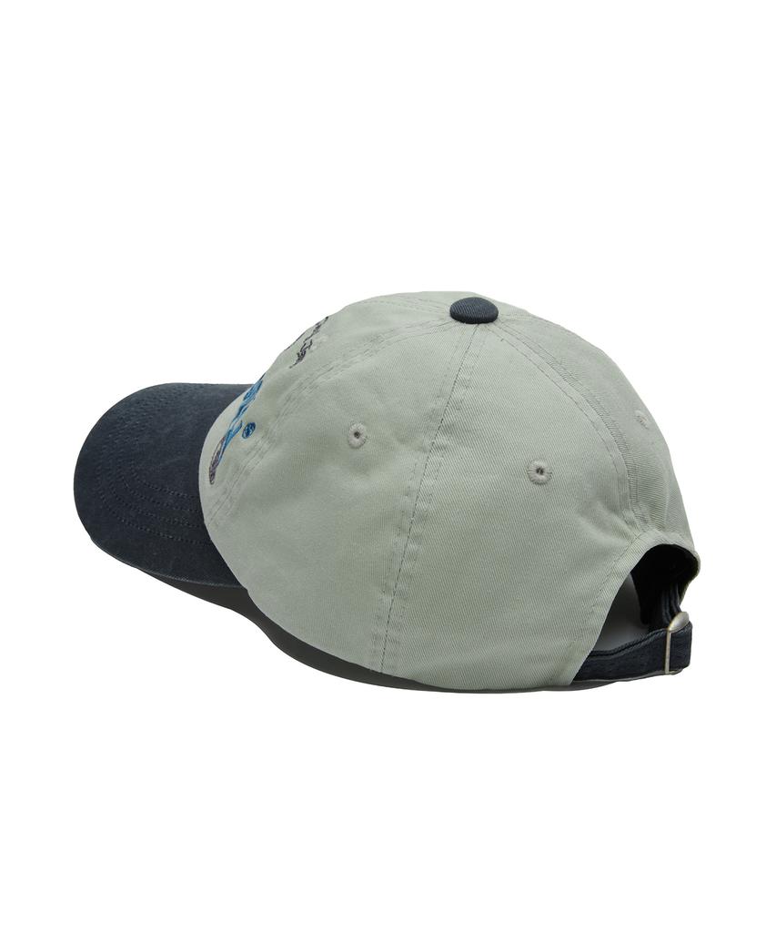 Seuweideu Collection Ball Cap [Gray]