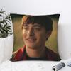 Y2K Seat Will Byers Decor Pillowcase Merch Pillow Covers Square Multiple Sizes