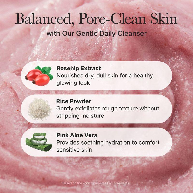 arencia *renew* Fresh Rosehip Rice Mochi Cleanser 120g