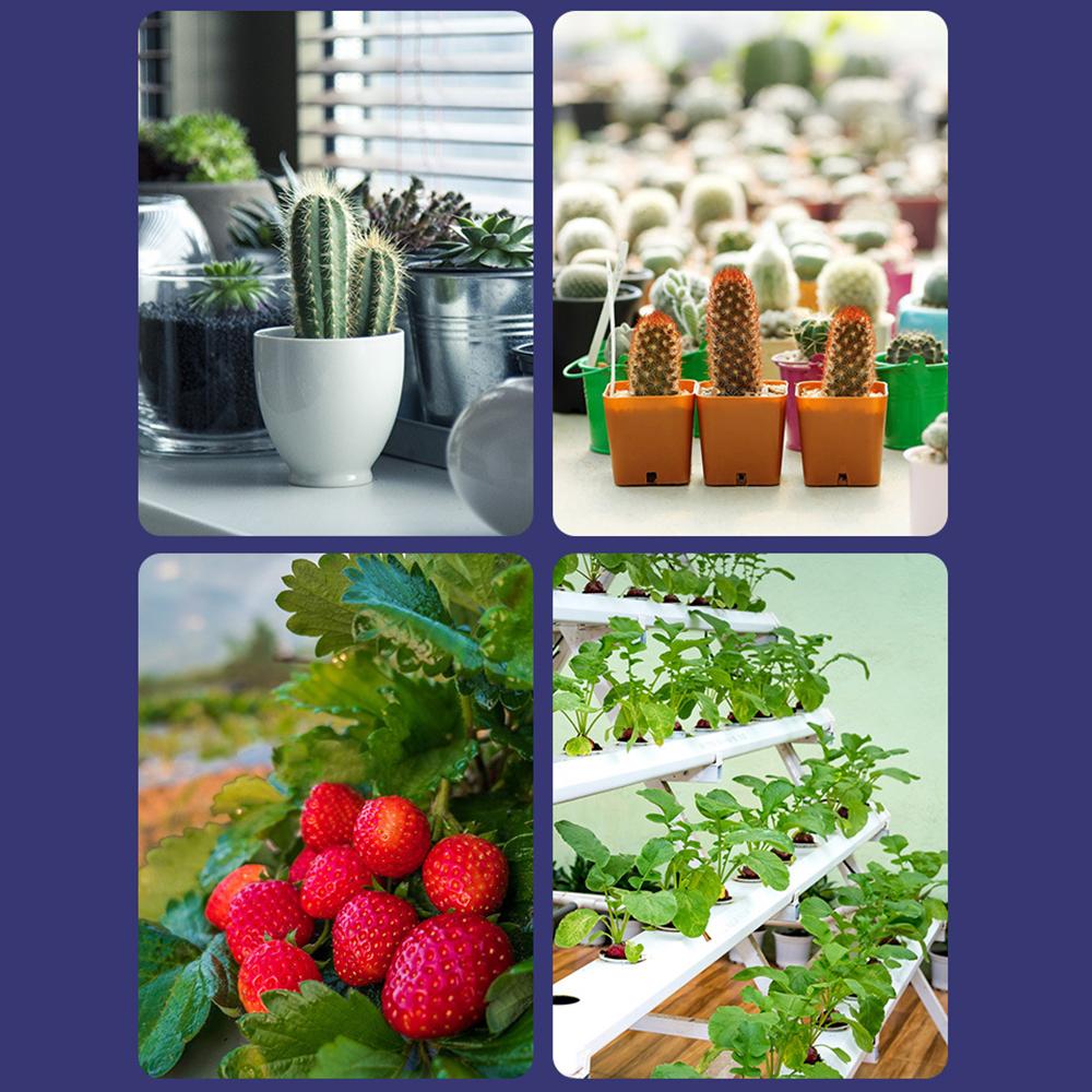 LED Grow Light Bulb for Indoor Plants Red & Blue Spectrum LED Plant Light Bulbs E27 Growing Lamp for Seedlings