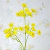 Floral Art Plastic Artificial Lace Flower Flexible Handmade Lace Flowers Non-fading 3 Heads Lace Flower Bouquet Party