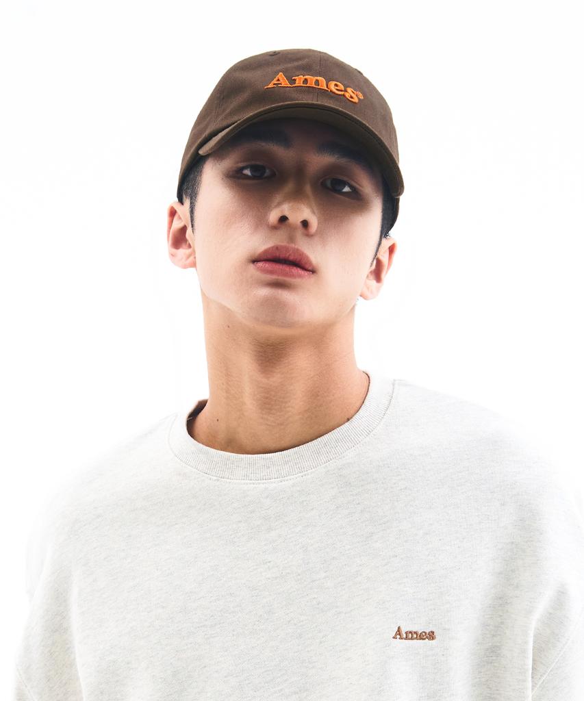 AMES-WORLDWIDE Basic Logo Ball Cap Brown