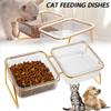 Pet Double Bowl Transparent High Foot Elevated Cat Bowls 15° Tilted Raised Food Bowls Stable Raised Cat Dish Anti Vomiting