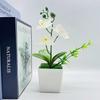 Műcserepes növények Művirágok Három Phalaenopsis Orchidea Négyzet alakú CSAPOK Művirág Díszek