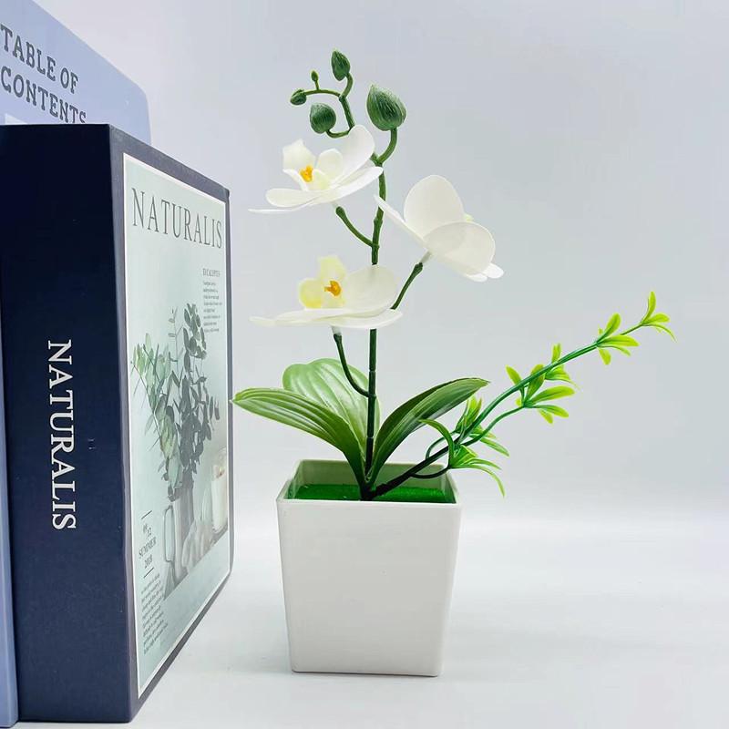 Műcserepes növények Művirágok Három Phalaenopsis Orchidea Négyzet alakú CSAPOK Művirág Díszek