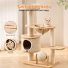 Grande Structure d'Escalade pour Chat Multi-Niveaux en Bois Massif Tour pour Chat avec Poteaux à Gratter Intégrés Meubles pour Chaton Centre d'Activité et de Jeu
