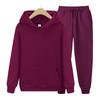 Sweat-shirt de sport à capuche en velours pour homme, ensemble 2 pièces chaud et épais, couleur unie, polaire à la mode