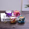 Double Wall Glass Cup with Real Flower Design Heat Resistant Borosilicate Glass Tea Coffee Mug for Home Office Use