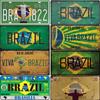 Vintage Brazil Car Number Poster Plate Popular City Brazil National Flag Retro Tin Signs Home Decor Stickers 15x30cm