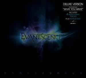 CD EVANESCENCE - Evanescence 5099967888023 Wind-Up 2011 Brazil Rock Used