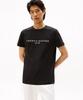 TOMMY HILFIGER Core Logo T-Shirt (T12G1Tpo800Mt3Bds)