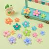 Colorful Cartoon Meat Flower Resin Jewelry & Hair Clip DIY Accessories