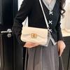 Fashion Retro Light Luxury High Texture Shoulder Armpit Bag Simple and Versatile Fashion Trend Beautiful Handbag