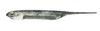 Fish Arrow Lure Flash J 4 SW #112 Inakko/Silver