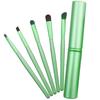 5 PCS Handle Eyes Makeup Brush Set with Aluminum Tube