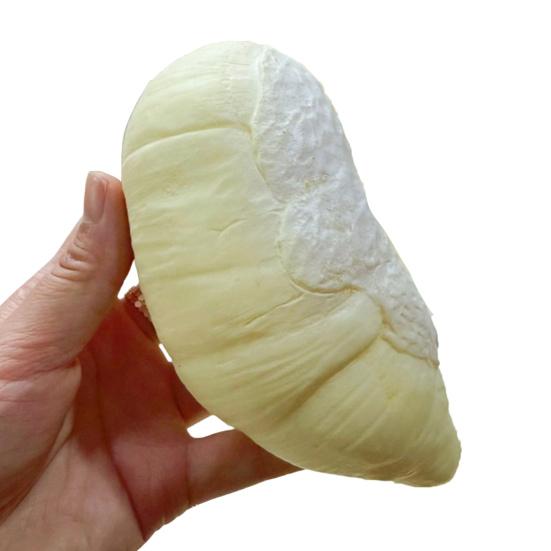 Soft Realistic Durian Squeeze Toy Fidget for Stress Soft Slow-Rising PU Relief Cute Fruit-Shaped Decompression Gadget